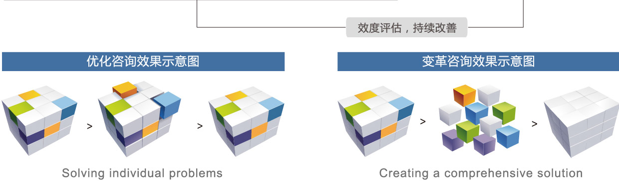 优化咨询效果图